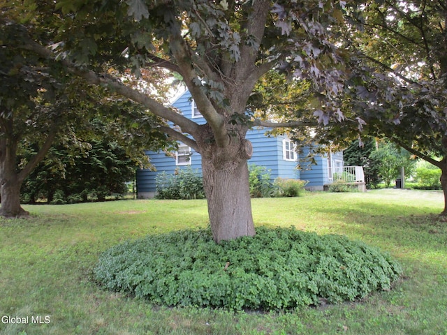 16 Knickerbocker Rd, Scotia, NY 12302 - view of green lawn