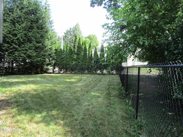 16 Knickerbocker Rd, Scotia, NY 12302 - view of yard