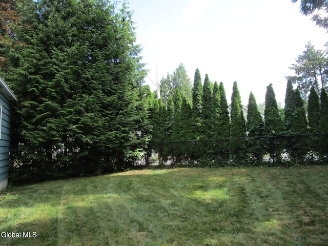 16 Knickerbocker Rd, Scotia, NY 12302 - view of grassy yard