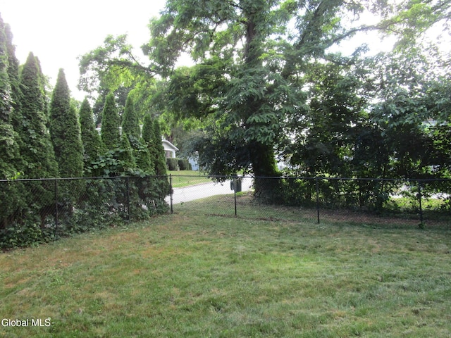 16 Knickerbocker Rd, Scotia, NY 12302 - view of yard
