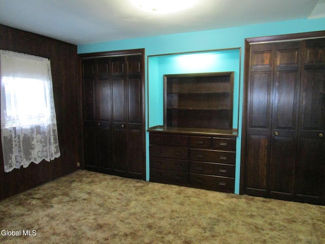 16 Knickerbocker Rd, Scotia, NY 12302 - bedroom with two closets and carpet flooring