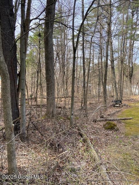 L44 Pillar Way, Fort Ann, NY 12827