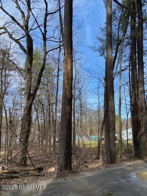 L44 Pillar Way, Fort Ann, NY 12827