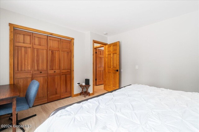 bedroom with light wood-type flooring and a closet