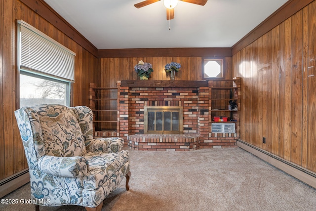 living room with a baseboard radiator, wooden walls, and a healthy amount of sunlight
