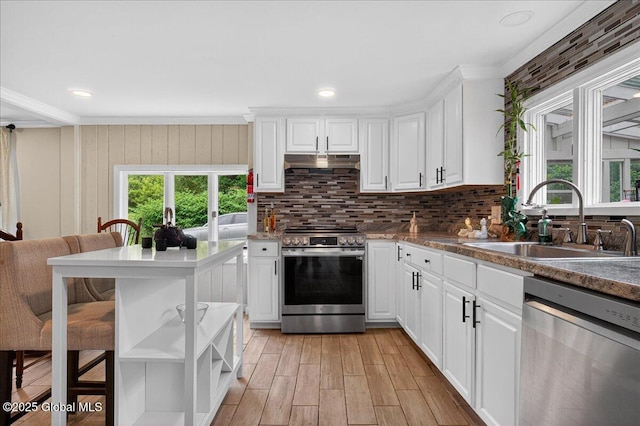 458 Central Ave, Niskayuna, NY 12304 - kitchen with stainless steel appliances, a sink, crown molding, under cabinet range hood, and backsplash