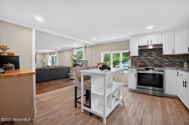 458 Central Ave, Niskayuna, NY 12304 - kitchen with stainless steel stove, under cabinet range hood, light wood-type flooring, white cabinets, and crown molding