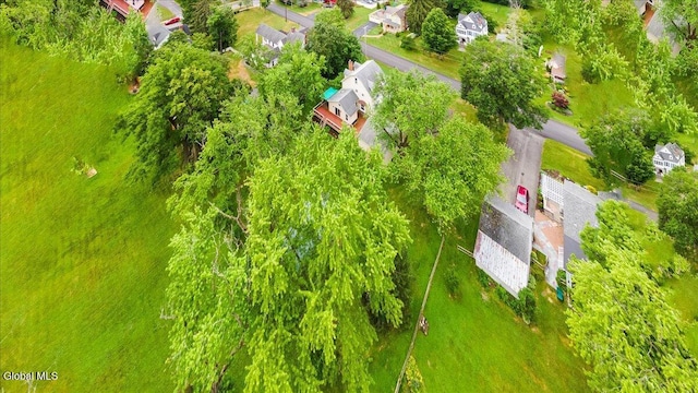 104 Euclid Ave, Altamont, NY 12009 - aerial view