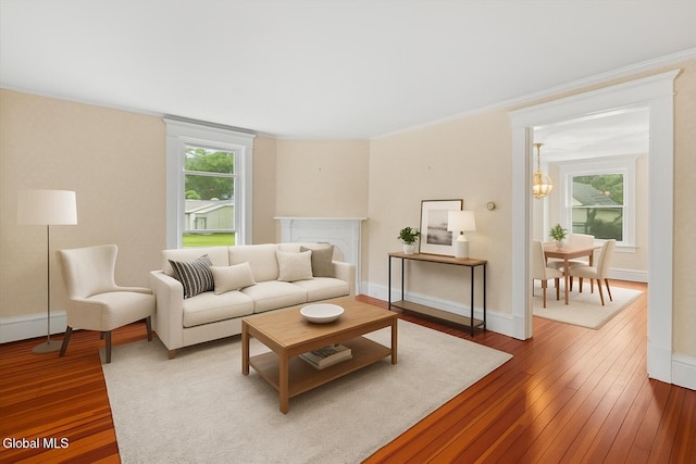 104 Euclid Ave, Altamont, NY 12009 - living area with hardwood / wood-style flooring, ornamental molding, and a chandelier