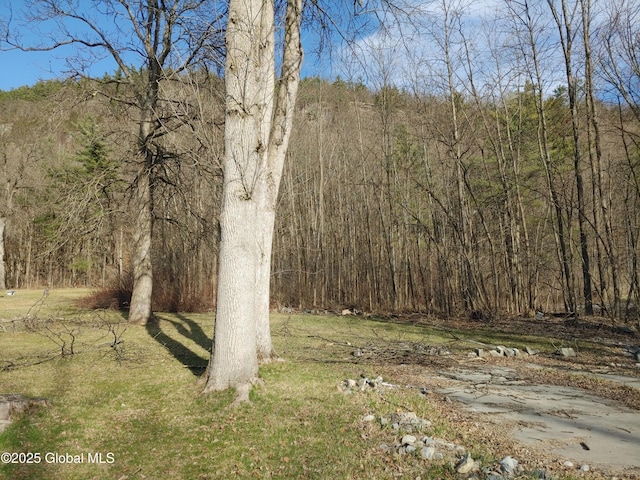 103 Black Point Rd, Ticonderoga, NY 12883 - photo 2