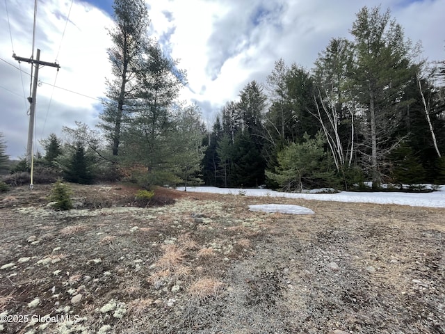 804 Harrisburg Rd, Stony Creek, NY 12878 - photo 13