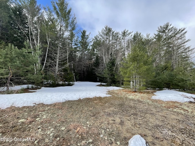 804 Harrisburg Rd, Stony Creek, NY 12878 - photo 14