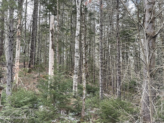 804 Harrisburg Rd, Stony Creek, NY 12878 - photo 8