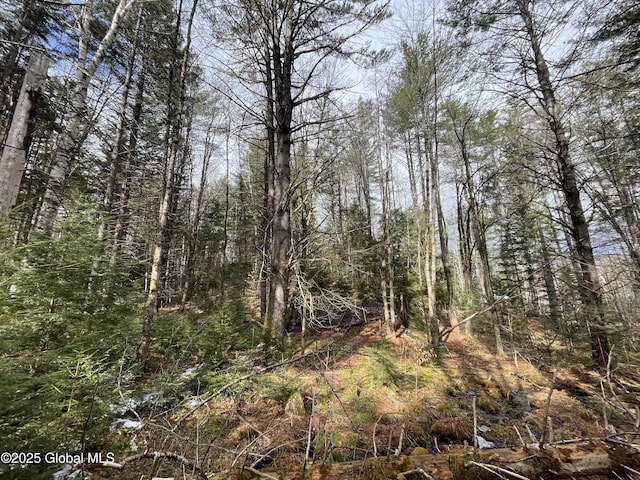 804 Harrisburg Rd, Stony Creek, NY 12878 - photo 10