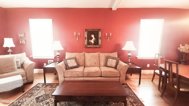 living area featuring baseboards, wood finished floors, and a healthy amount of sunlight