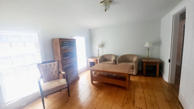 living area featuring light wood-style flooring and plenty of natural light