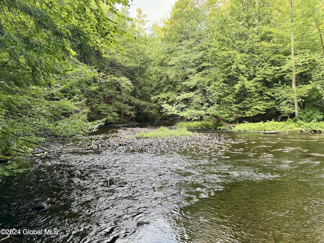 16 Pumphouse Rd, Lake Luzerne, NY 12846 - view of local wilderness with a wooded view