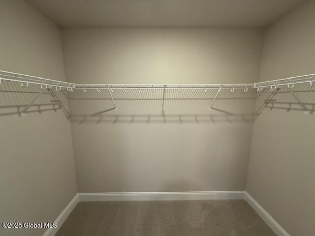 spacious closet with carpet