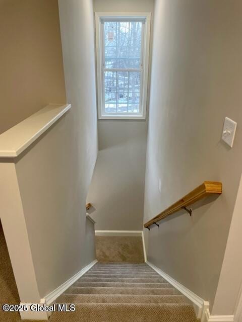 stairway featuring carpet flooring and baseboards