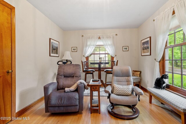 115 Euclid Ave, Altamont, NY 12009