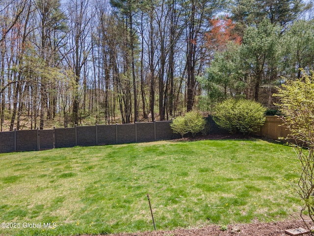 view of yard featuring a fenced backyard