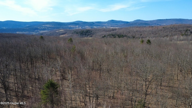 view of mountain feature featuring a wooded view