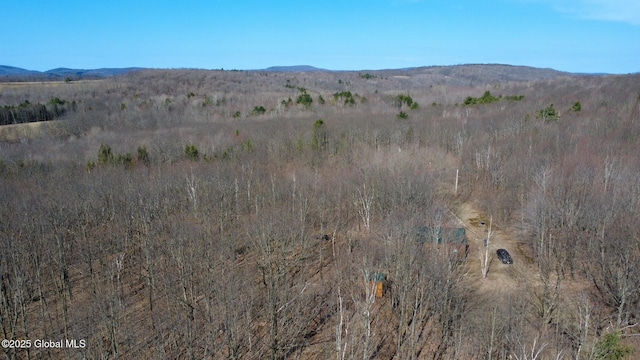 view of mountain feature