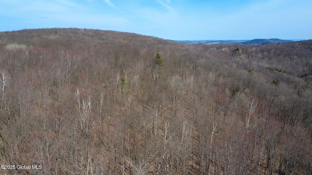property view of mountains featuring a forest view