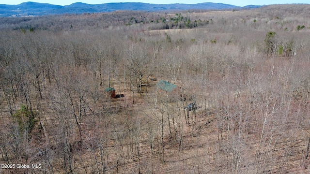 bird's eye view featuring a forest view and a mountain view