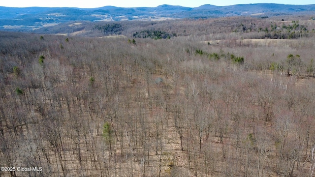 aerial view with a mountain view