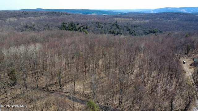birds eye view of property featuring a mountain view and a wooded view