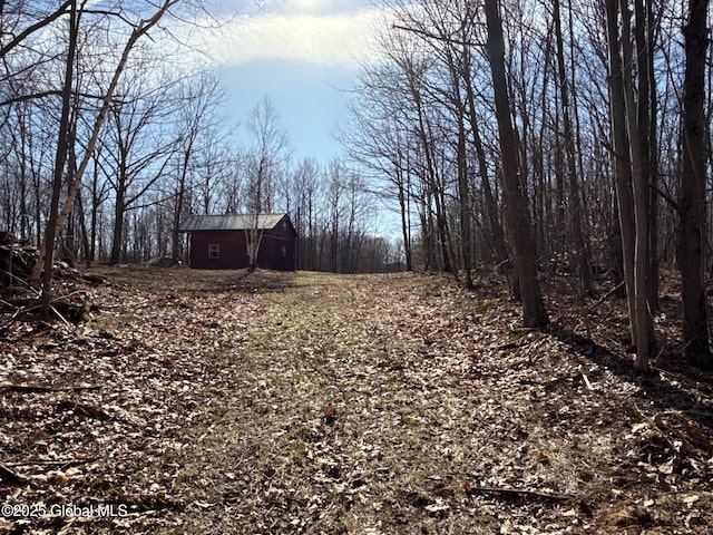 view of yard featuring an outbuilding and a barn