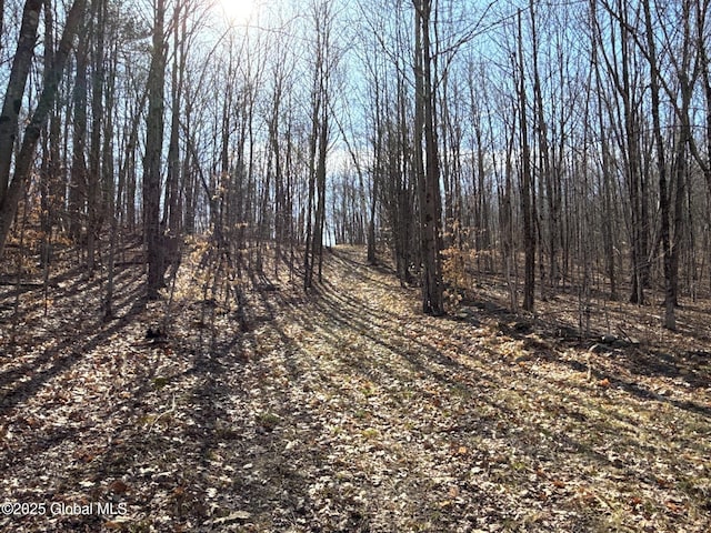 view of local wilderness