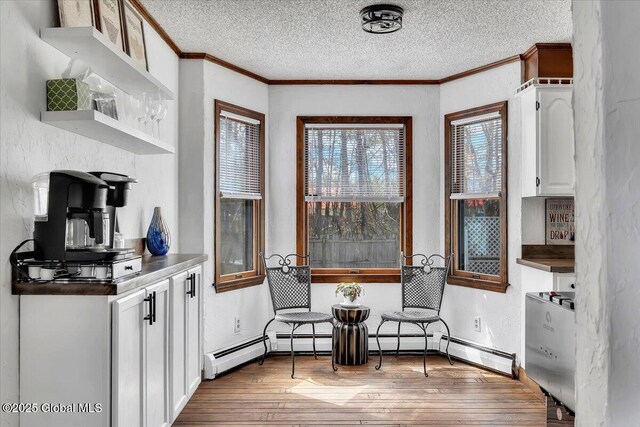 sitting room with a baseboard radiator, a textured ceiling, hardwood / wood-style floors, baseboards, and ornamental molding