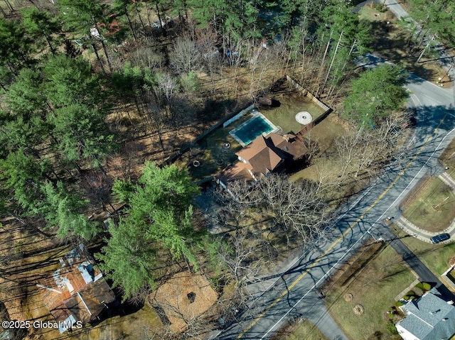 drone / aerial view