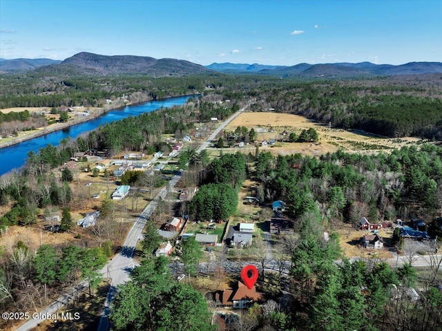 aerial view with a view of trees and a water and mountain view