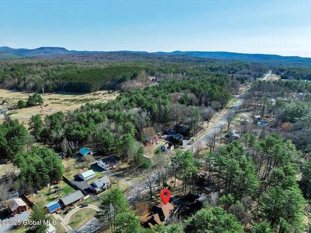 bird's eye view with a view of trees and a mountain view