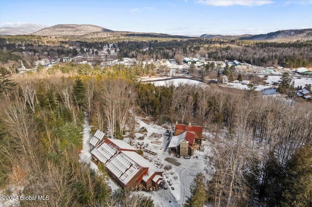 drone / aerial view with a wooded view and a mountain view