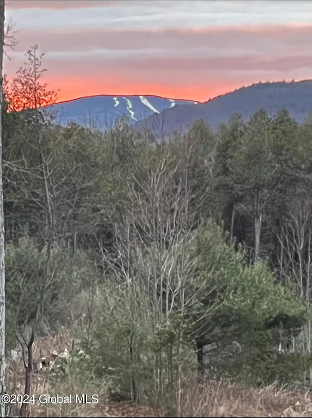 property view of mountains featuring a forest view