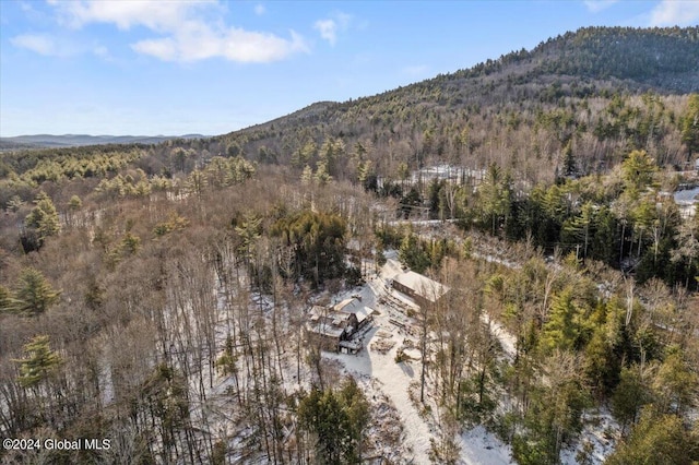 view of mountain feature featuring a forest view