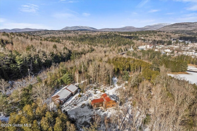 drone / aerial view featuring a wooded view and a mountain view