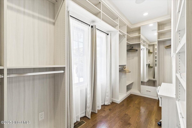 spacious closet featuring visible vents and dark wood-style floors