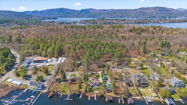 drone / aerial view featuring a forest view and a water and mountain view