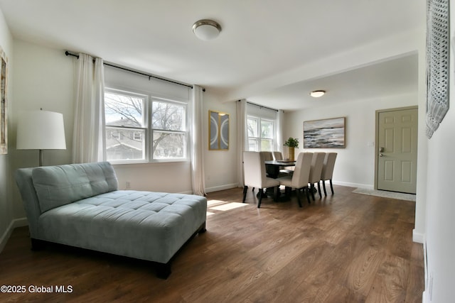362 Lake Ave, Saratoga Springs, NY 12866 - living area with baseboards and dark wood-style floors
