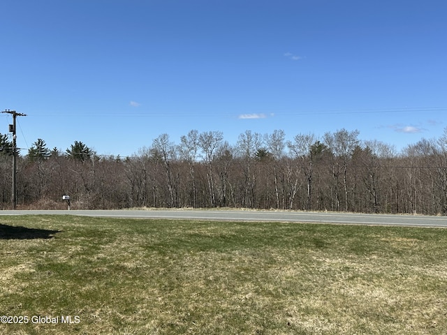 230 S Rd, Stephentown, NY 12018 - view of grassy yard with a view of trees