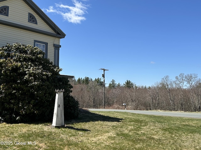 230 S Rd, Stephentown, NY 12018 - view of green lawn