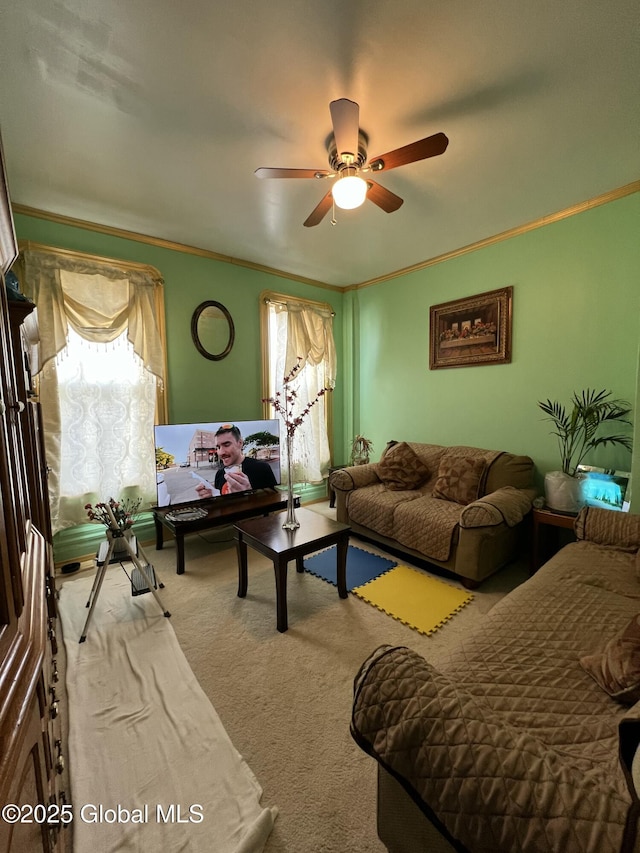 living room with ceiling fan, crown molding, and carpet flooring