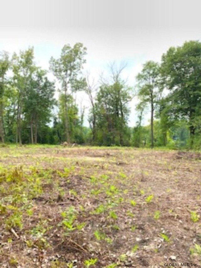 L15 River Rd, Schaghticoke, NY 12121 - photo 3