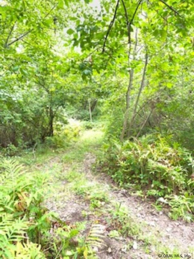 L15 River Rd, Schaghticoke, NY 12121 - photo 4