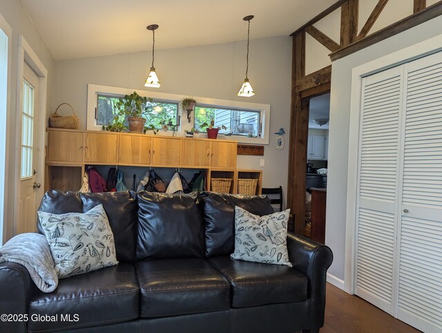 116 Dennie Rd, Mayfield, NY 12117 - living area featuring vaulted ceiling, healthy amount of natural light, dark wood finished floors, and baseboards